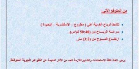 شبورة وصقيع.. «الأرصاد» تحذر من حالة الطقس خلال الساعات المقبلة - الصبح