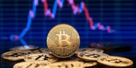 سعر البيتكوين بالدولار اليوم الإثنين 23 ديسمبر 2024 آخر تحديث .. ارتفاع جديد في تعاملات اليوم - الصبح