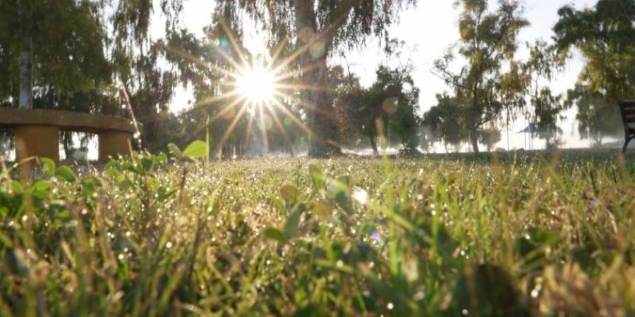 درجات حرارة صفرية.. موجة البرد القارسة تضرب رفحاء - الصبح