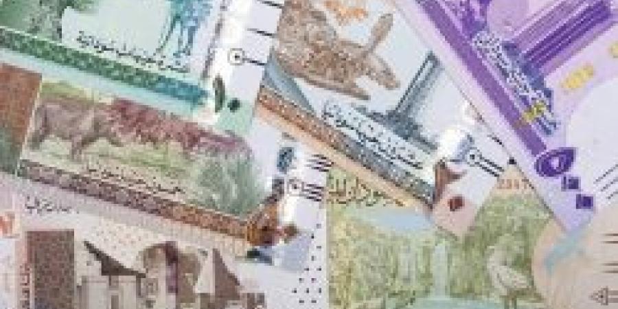 سعر الجنيه السوداني مقابل الريال السعودي اليوم السبت 21 ديسمبر 2024 في بداية التعاملات من هنا - الصبح