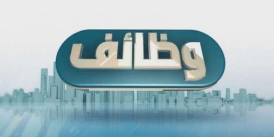 وظائف بنك القاهرة 2024.. لو عايز تشتغل في مؤسسة حكومية - الصبح